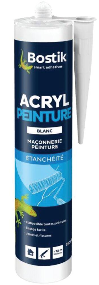 Acryl Peinture 