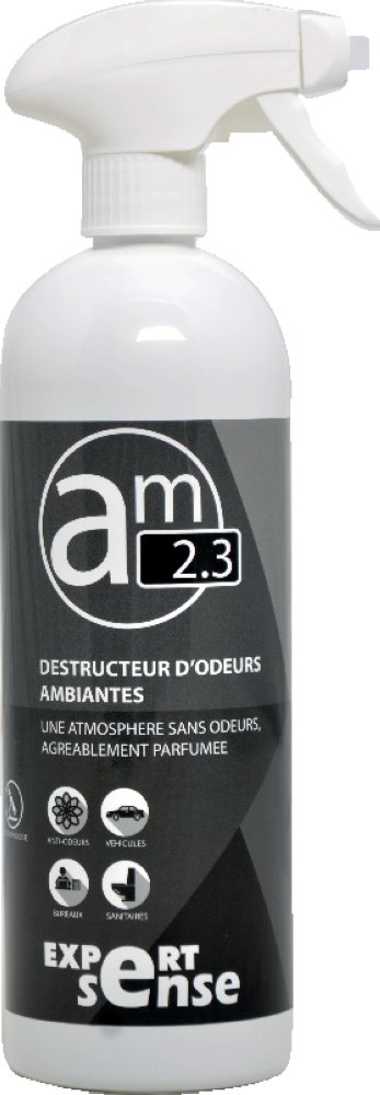 Destructeur d’odeurs ambiantes 