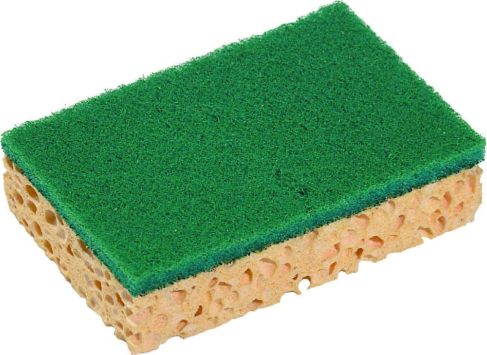 Tampon vert sur éponge Basic 