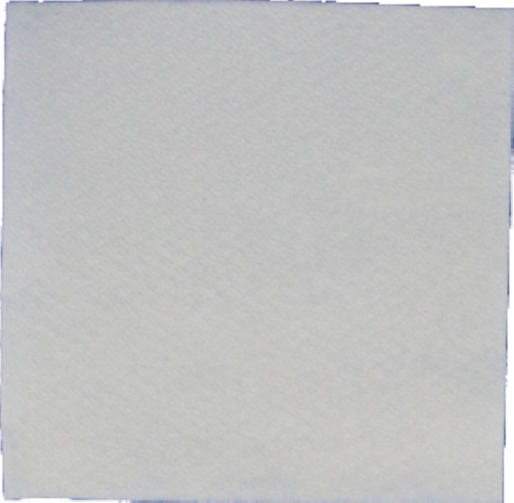 Serviette 1 pli blanche 